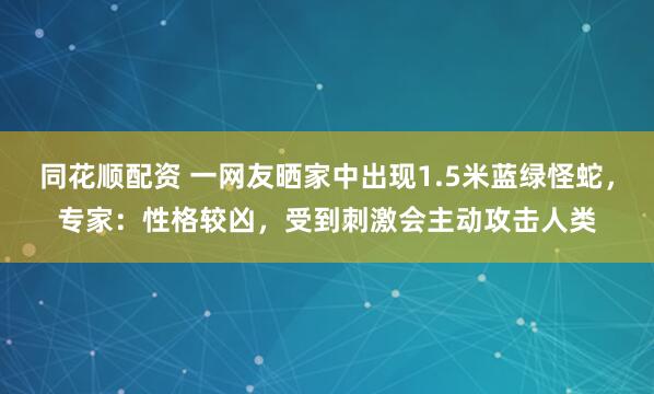 同花顺配资 一网友晒家中出现1.5米蓝绿怪蛇，专家：性格较凶，受到刺激会主动攻击人类