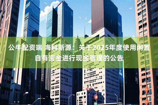 公牛配资端 海科新源：关于2025年度使用闲置自有资金进行现金管理的公告