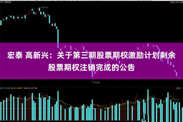 宏泰 高新兴：关于第三期股票期权激励计划剩余股票期权注销完成的公告
